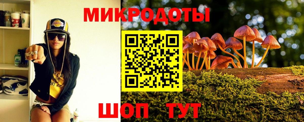 МЕФ Старая Купавна