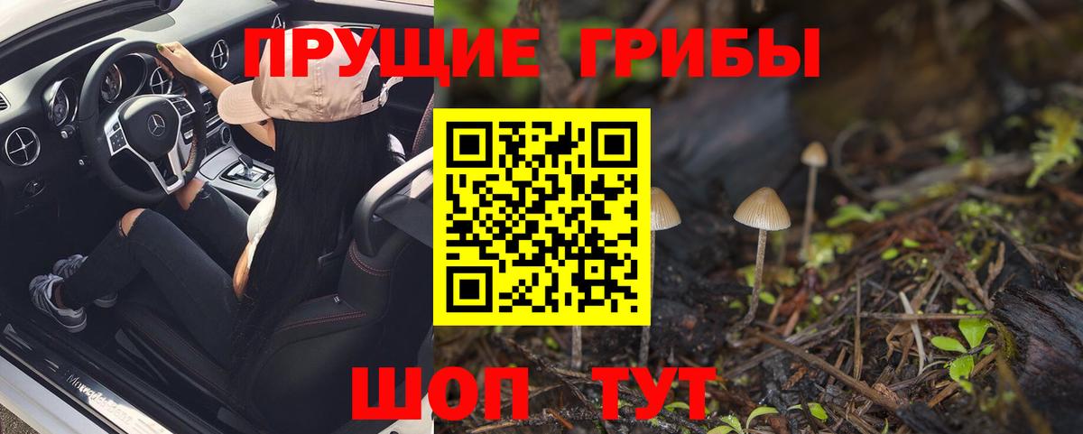 Галлюциногенные грибы прущие грибы Старая Купавна